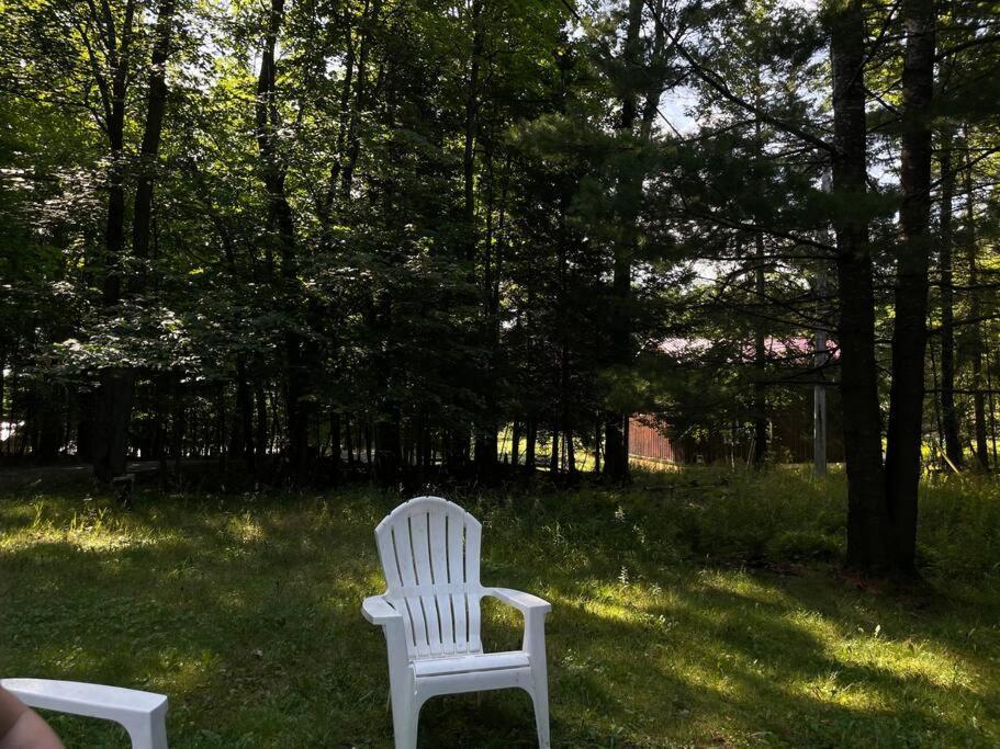 Muskoka Manor Villa Dwight Eksteriør billede